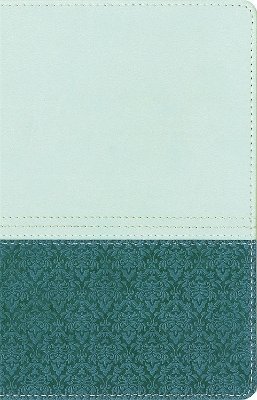 bokomslag NIV Study Bible Sea Glass/Caribbean Duo-Tone Personal Size