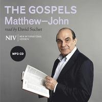 bokomslag NIV Bible: the Gospels