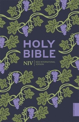 bokomslag NIV Holy Bible (Hodder Classics)