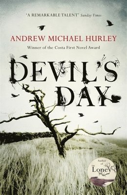 bokomslag Devil's Day