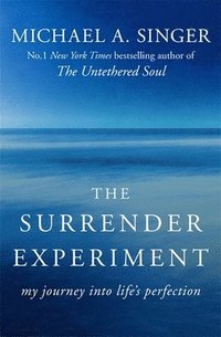 bokomslag Surrender experiment - my journey into lifes perfection