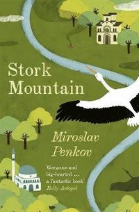 bokomslag Stork Mountain