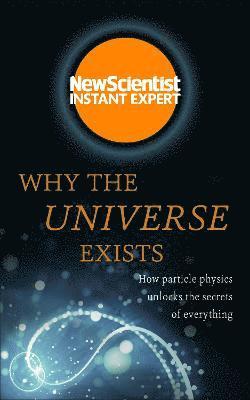 Why the Universe Exists 1