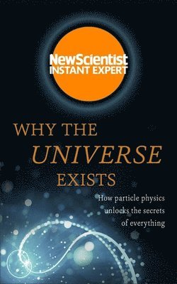 Why the Universe Exists 1