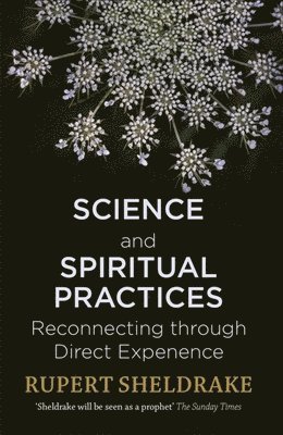 bokomslag Science and Spiritual Practices