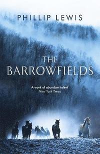 bokomslag The Barrowfields