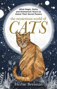 bokomslag The Mysterious World of Cats