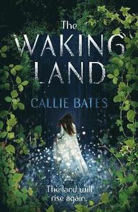 bokomslag Waking Land