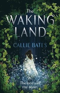 bokomslag Waking Land