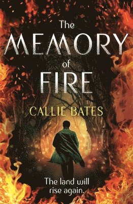 bokomslag Memory of Fire