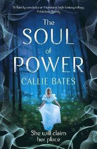 bokomslag Soul of Power