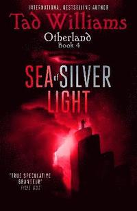 bokomslag Sea of Silver Light