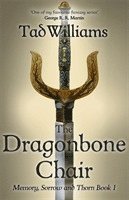 Tad Williams - Dragonbone Chair, Häftad