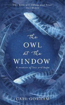 The Owl at the Window 1