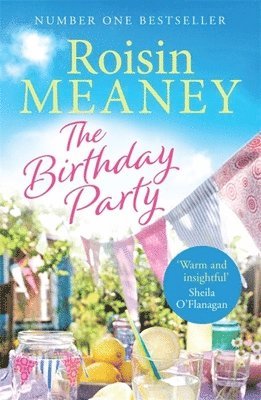Roisin Meaney - Birthday Party, Häftad