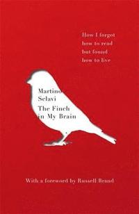 bokomslag Finch in My Brain