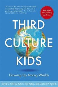 bokomslag Third Culture Kids