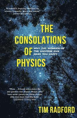 bokomslag Consolations of Physics