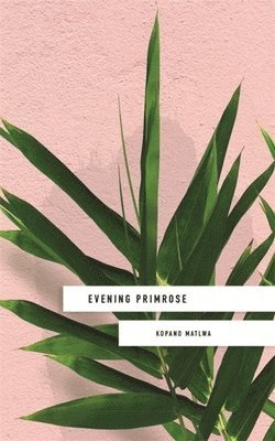 Evening Primrose: a heart-wrenching novel for our times 1