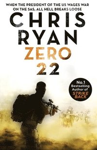 bokomslag Zero 22: Danny Black Thriller 8