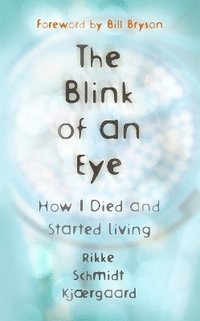 bokomslag The Blink of an Eye