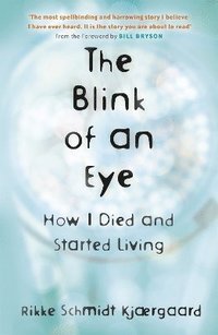 bokomslag The Blink of an Eye