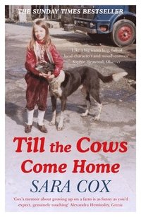 bokomslag Till the Cows Come Home