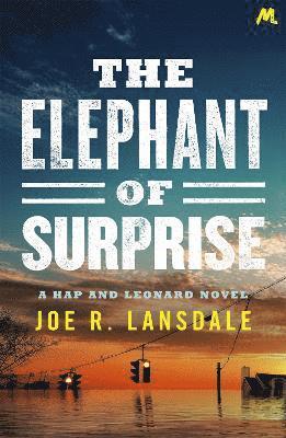 The Elephant of Surprise 1