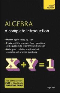 bokomslag Algebra: A Complete Introduction