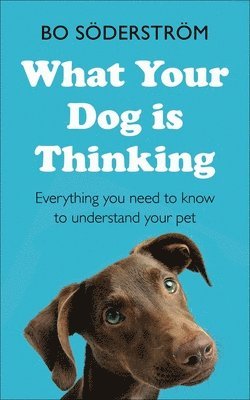 What Your Dog Is Thinking 1