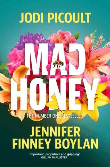 Jodi Picoult, Jennifer Finney Boylan - Mad Honey, Häftad