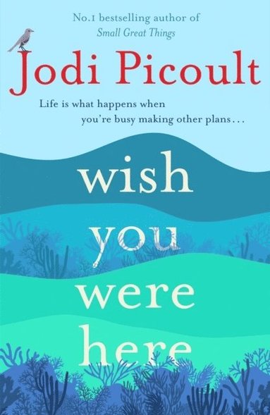 Jodi Picoult - Wish You Were Here, Häftad