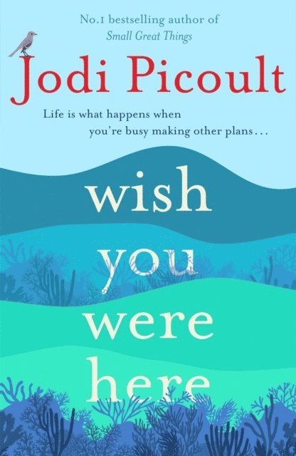 Jodi Picoult - Wish You Were Here, Häftad