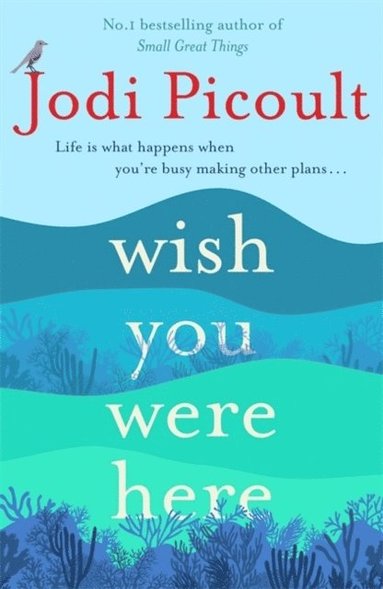 Jodi Picoult - Wish You Were Here, Häftad