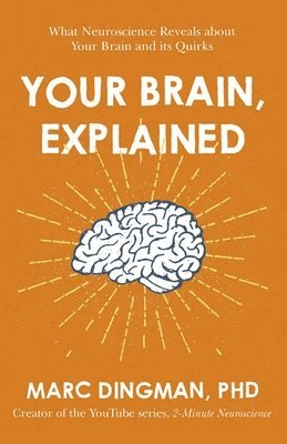 Your Brain, Explained 1