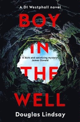 Boy in the Well 1