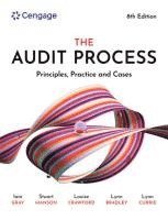 bokomslag The Audit Process