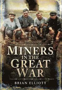 bokomslag Miners in the Great War