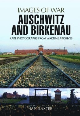 bokomslag Auschwitz and Birkenau