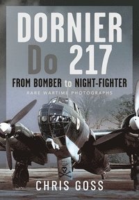 bokomslag Dornier Do 217