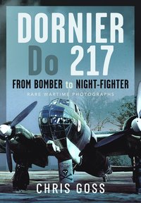 bokomslag Dornier Do 217