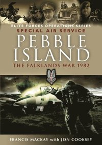 bokomslag Pebble Island