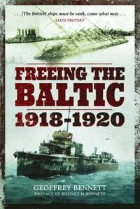 bokomslag Freeing the Baltic 1918 - 1920