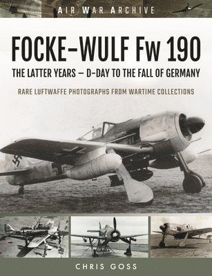 FOCKE-WULF Fw 190 1