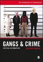 bokomslag Gangs & Crime