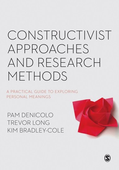 bokomslag Constructivist Approaches and Research Methods