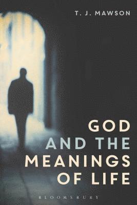 T J Mawson - Mawson, T: God and the Meanings of Life, Häftad