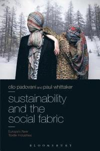 bokomslag Sustainability and the Social Fabric