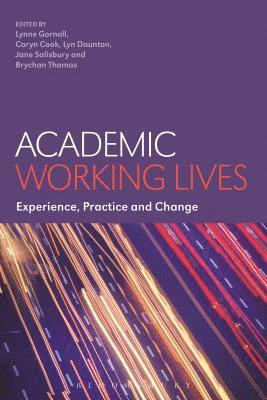 bokomslag Academic Working Lives