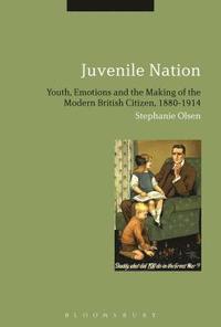 bokomslag Juvenile Nation